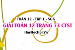 Giải Toán 12 trang 73 tập 1 Chân trời sáng tạo